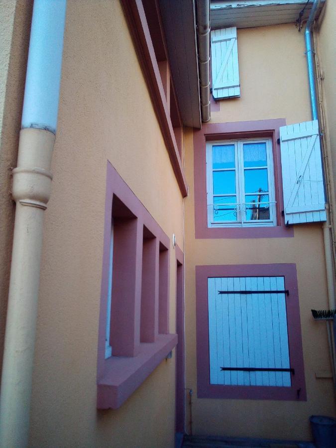 L'Oasis Maisonnette Centre Ville 3 Chambres Terrasse Espace Vert Prive Parc Sainte Croix Center Parc 20 Minutes Sarrebourg Exterior foto